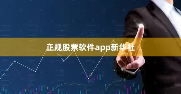 正规股票软件app新华社