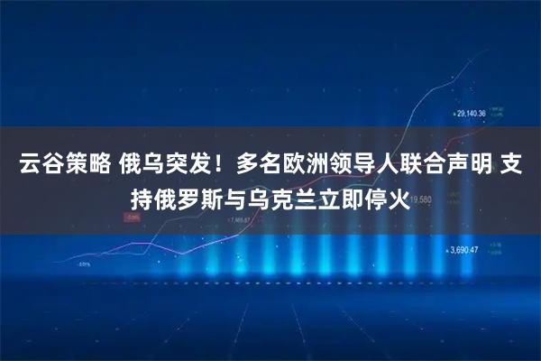 云谷策略 俄乌突发！多名欧洲领导人联合声明 支持俄罗斯与乌克兰立即停火