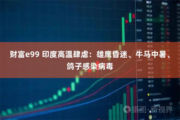 财富e99 印度高温肆虐：雄鹰昏迷、牛马中暑、鸽子感染病毒
