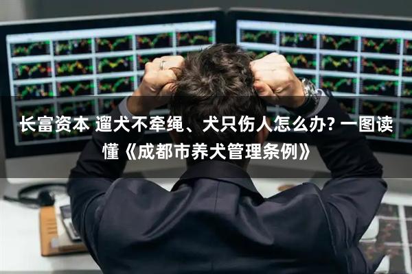 长富资本 遛犬不牵绳、犬只伤人怎么办? 一图读懂《成都市养犬管理条例》