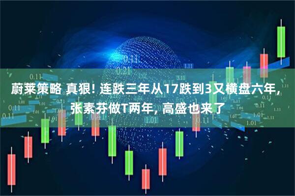 蔚莱策略 真狠! 连跌三年从17跌到3又横盘六年, 张素芬做T两年, 高盛也来了