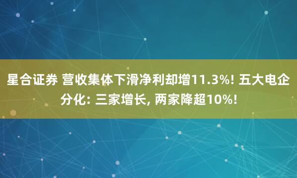 星合证券 营收集体下滑净利却增11.3%! 五大电企分化: 三家增长, 两家降超10%!