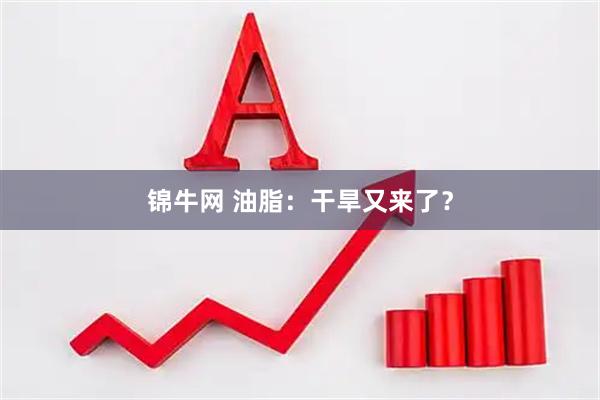 锦牛网 油脂:干旱又来了?