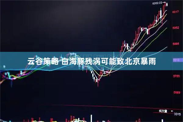 云谷策略 白海豚残涡可能致北京暴雨